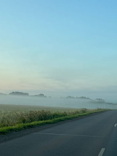 A paved road curves through a rural landscape shrouded in morning fog. To the left of the road is a field of dry grass and scattered thorny plants, bordered by a strip of green grass. Beyond the field, a line of trees is visible, partially obscured by the thick fog. The sky above is a pale, gradient blue, transitioning from a lighter hue near the horizon to a deeper blue at the top. The scene appears to be a quiet, serene morning in an undeveloped area, possibly on the outskirts of Нижегородка, Russia, given the sparse vegetation and absence of urban structures. No people or specific actions are depicted.