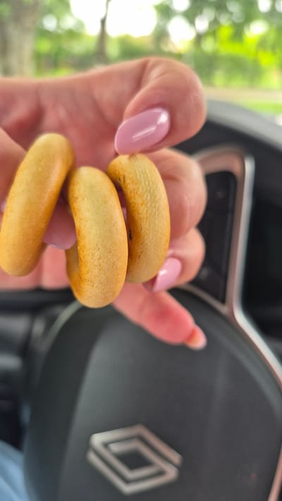 A close-up, shallow depth of field shot captures a person's hand with light pink nail polish holding three golden-brown, ring-shaped snacks. The snacks are positioned in front of a car's steering wheel, which has a geometric symbol embossed in the center. The background is blurred, showing green foliage and a bright, overcast sky, suggesting an outdoor setting possibly within the city of Jēkabpils, Latvia.