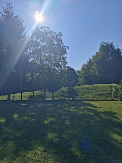 A bright, sunlit outdoor scene shows a grassy slope behind a metal fence. The sun is high in the sky, casting strong rays and creating lens flare in the upper left quadrant of the image. Lush green trees with dense foliage are visible on either side of the frame, with the sun's rays piercing through the leaves of the trees on the left. A wire mesh fence runs horizontally across the middle ground, separating the grassy foreground from a further grassy area and trees in the background. Shadows of trees are cast across the lawn in the foreground. The location is described as Świdnik, Poland.
