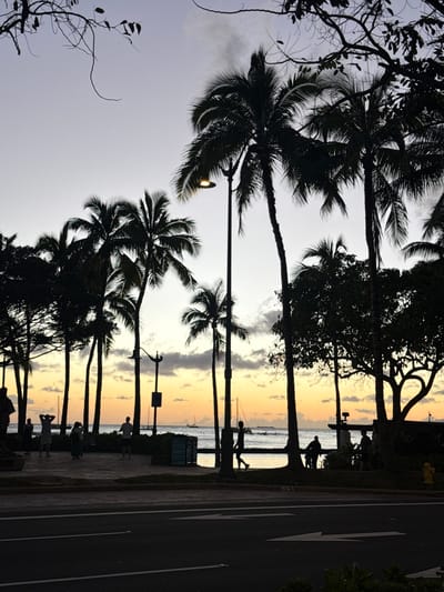 The image captures a scene in Honolulu, Hawaii, USA, at twilight. Silhouetted palm trees line a road adjacent to a beach with a view of the ocean. The sky is a mix of grey and golden hues, suggesting either sunrise or sunset. There are several individuals visible along the sidewalk next to the road, some standing and others appearing to walk. The road itself has painted directional arrows, indicating traffic flow. In the distance, boats are visible on the water. The overall impression is that of a tropical, seaside location.