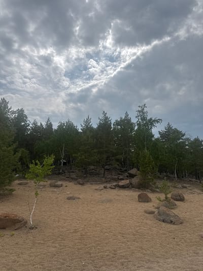 This is a landscape photograph taken in Aiyrtau, Kazakhstan. The image depicts a natural scene with a sandy ground in the foreground, transitioning to a dense line of trees along a rocky incline in the mid-ground. The sky above is filled with dramatic, heavy clouds, suggesting overcast or stormy weather.

The sandy area appears to be a beach or a sandy clearing, with scattered rocks of various sizes embedded in it. A few small trees or saplings are sparsely distributed on the sand. Behind the sand, a wall of dark, rocky terrain forms the base for a thick forest of evergreen trees, with some lighter-barked deciduous trees interspersed. The trees are lush and green, indicating a time of year when vegetation is abundant.

The lighting is diffused due to the cloudy sky, creating a somewhat muted color palette. The overall impression is one of a wild, untamed natural environment. There are no people or man-made objects visible in the frame, emphasizing the untouched quality of the landscape. The weather appears to be a significant element of the scene, with the turbulent clouds adding a sense of drama and perhaps foreboding. The location cues, such as the sandy terrain, rocky outcrops, and type of vegetation, are consistent with natural landscapes found in regions like Kazakhstan. The photograph captures a moment of natural beauty under a dynamic sky.