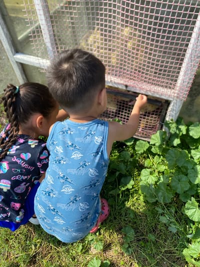 In Maloarslangulovo, Russia, two young children, a girl and a boy, are observed from behind as they look into a wire mesh enclosure. The girl, on the left, has dark hair styled in braids and wears a dark t-shirt with colorful graphics. The boy, on the right, wears a light blue sleeveless shirt with an airplane pattern. He is leaning towards the enclosure, with his right hand reaching into an opening at the bottom of the mesh. The enclosure appears to be made of wood and wire mesh with pink trim. Green foliage and grass surround the children and the enclosure. The scene suggests a moment of curiosity and exploration of what is inside the structure.