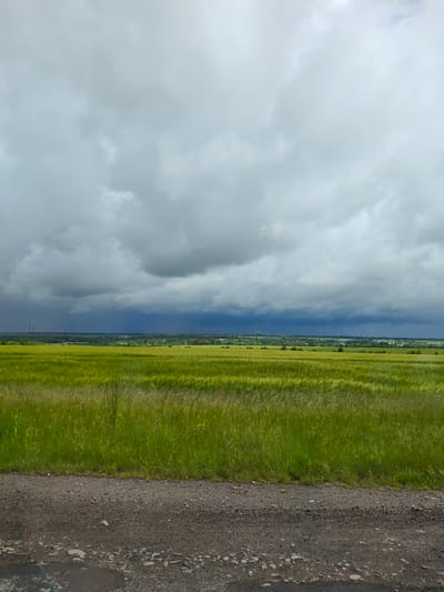 The image presents a landscape view in Zhornyshche, Ukraine, under a cloudy sky. A vast field of green crops occupies the majority of the frame, gently swaying as if in a breeze. In the distance, the skyline is punctuated by industrial structures, possibly power plant cooling towers. The foreground consists of a rough, gravelly surface. No people or animals are visible in the image. The overall environment suggests a rural setting adjacent to an industrial area.