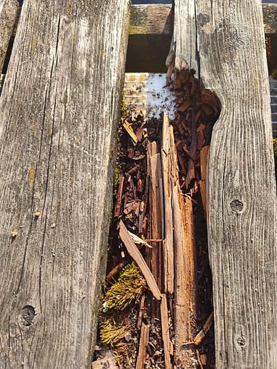 The image shows a close-up, overhead view of weathered wooden planks, likely part of an outdoor structure. One plank is significantly damaged, with a large section broken away, revealing decaying wood and debris. There is some moss growing in the damaged area and between the planks. The wood is gray and shows prominent grain and cracks, indicating age and exposure to the elements. The background is blurred, suggesting the focus is entirely on the texture and condition of the wood. The scene appears to be outdoors, possibly in a park or garden area in Broceni, Latvia, given the context provided, though no specific landmarks are visible.