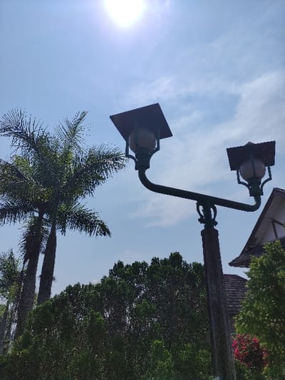 The image displays an outdoor scene under bright midday sunlight, characterized by a clear blue sky with sparse, wispy white clouds and a visible sun creating lens flare in the upper left. In the mid-right, a dark-colored lamppost with a bifurcated arm supports two ornate light fixtures. Each fixture features a square, reddish-brown cap shade atop a spherical, light-colored, textured globe. To the left, several tall palm trees with discernible trunks and green fronds are visible, ascending towards the sky. The midground is dominated by a dense arrangement of dark green foliage, appearing as bushes or hedges. On the far right, a portion of a building with a dark-tiled, possibly reddish-brown, roof and overhanging eaves is partially visible, alongside lighter green foliage and clusters of vibrant pink/red flowering plants. No individuals are present, and no specific actions or interactions are depicted. The scene is situated in the city of Staufenberg, Germany.