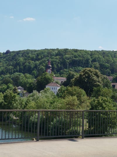 The image shows a pastoral scene in Zell am Main, Germany, with a focus on a hill covered in dense green trees. A prominent church steeple, red and white in color, rises above the treeline, indicating a religious structure within the forested area. Below the hill, several buildings with terracotta roofs are partially visible amidst the greenery. In the foreground, a metal railing borders a body of water, likely a river or lake, reflecting the bright daylight. The sky is a clear, light blue with a few wispy white clouds. The overall impression is one of a tranquil, picturesque landscape on a sunny day.