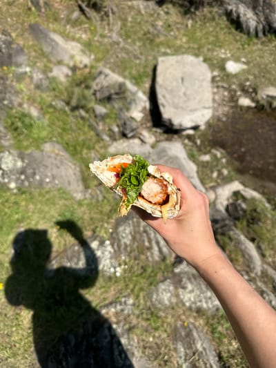 A high-angle, close-up photograph captures a human hand holding a food wrap against a blurred natural background. The hand, with fair skin, extends from the upper right, gripping a generously filled wrap that appears to be made from a flatbread, possibly lightly grilled.
The wrap's contents are clearly visible: a large, breaded and fried piece of meat, showing a light pinkish-white interior, is central to the filling. It is accompanied by fresh green lettuce, a yellowish melted ingredient resembling cheese or a sauce, and hints of finely chopped red vegetables.
The background, largely out of focus, depicts an outdoor, rugged landscape. Scattered grey rocks and patches of green grass dominate the terrain, suggesting a wild or untamed area. A darker, somewhat reflective patch in the upper left background indicates the presence of water, possibly a small stream or river. The scene is bathed in bright daylight, evidenced by the distinct, dark shadow of the person's head and arm cast onto the ground in the lower right, suggesting a sunny day, likely during midday or early afternoon.
The image portrays a moment of casual outdoor dining or snacking, hinting at an activity like hiking or exploring in a natural setting. The location context, Слизнево, Russia, aligns with such a natural environment. There is no visible text in the image.