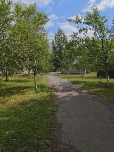 The image shows a paved pathway winding through an orchard on a sunny day. The pathway is flanked by lush green grass and several trees with dense foliage, some bearing small, round fruits. In the background, a traditional Ukrainian house with a grey tiled roof is partially visible behind the trees. The sky is blue with scattered white clouds. The scene is peaceful and evokes a rural atmosphere.