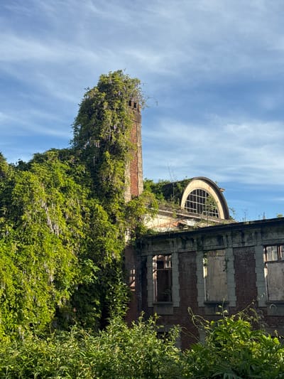 An exterior shot, taken from ground level, of a building in ruins that is heavily overgrown with vegetation, situated in Tsanbaikwara, Abkhazia. The structure is made of red brick, with an arched window at the top and rectangular windows below. The building is in a state of disrepair, with broken windows. Green plants cover much of the building's surface. The sky is a light blue color with thin, wispy clouds.