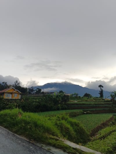The image displays a rural or semi-rural landscape in what is identified as Sindangjaya, Indonesia. The sky is overcast and predominantly grey, with lighter white-grey clouds obscuring the upper portions of dark blue-grey mountains in the background. In the mid-ground, a series of green terraced agricultural fields are visible, extending across the frame from left to right and sloping downwards. These fields contain rows of low-lying green crops. On the left mid-ground, a single-story house with a yellow exterior, white window frames, and a brown/orange tiled roof is situated on an elevated green slope, partially surrounded by dense green foliage. Various trees and tropical vegetation are scattered throughout the scene. The immediate foreground on the left consists of a grey, sloping surface, possibly a road or pathway, bordered by a strip of vibrant green grass exhibiting motion blur. No individuals or specific activities are observable.