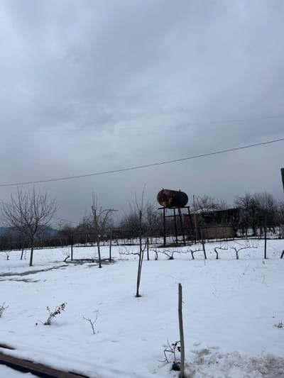 A snowy landscape under a gray, cloudy sky. A rusty, cylindrical tank sits atop a metal frame. Rows of pruned trees or vines line the snow-covered ground, supported by stakes. A small shed-like structure is visible in the background amidst bare branches. A power line stretches across the sky.