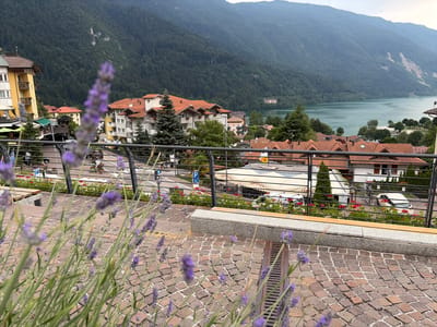 This is a high-angle, full shot of a landscape scene in the town of Molveno, Italy, with a foreground of blooming lavender. In the middle ground, a paved walkway with a stone bench and a metal railing overlooks a street with buildings and parked cars. The buildings have terracotta roofs and a mix of yellow and white facades. Beyond the town, a large, calm, turquoise lake is visible, bordered by a dense, green forest that covers the slopes of steep mountains. The sky is overcast.