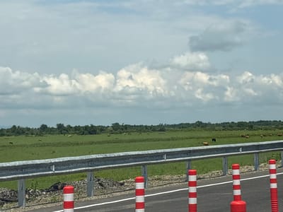 The image depicts a roadside scene in the rural area of Sufsis Temi, Georgia. In the foreground, a metallic guardrail runs horizontally across the frame, supported by vertical posts. Several red and white striped traffic cones are placed along the edge of the asphalt road. Beyond the guardrail lies a vast, flat green field dotted with numerous cows grazing. The field extends to a dense line of trees in the middle ground. The sky above is filled with large, fluffy white clouds against a pale blue backdrop. The overall impression is one of a pastoral landscape viewed from a roadway.