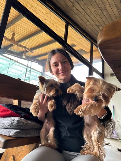 A woman is seated and holding two Yorkshire Terrier dogs. The background shows a building with a wooden interior and large windows. The location is Lipnik, Bulgaria.