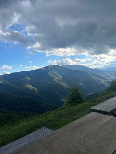 A panoramic view of rolling, verdant mountains under a dramatic sky of scattered clouds and patches of blue. The mountains are densely covered in dark green forests, with sunlit swathes highlighting the contours of the slopes. In the foreground, two weathered wooden picnic tables are angled towards the view, partially obscuring the grassy hillside which slopes down to the tree line. A small evergreen tree stands on the right side of the foreground slope, overlooking the vast mountainscape. The scene suggests an outdoor recreational area, possibly a viewpoint or rest stop, in the vicinity of Rozino, Bulgaria, a village known for its scenic mountain surroundings.