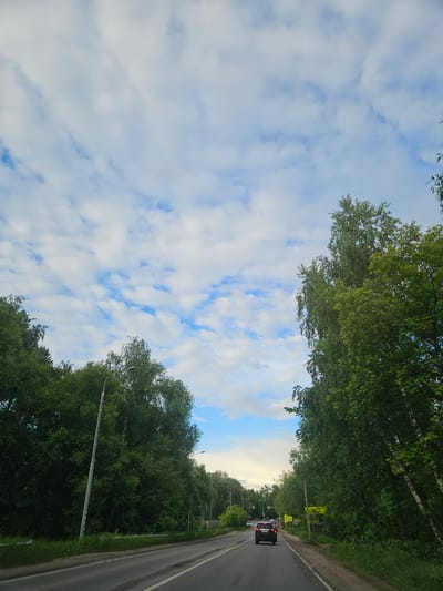 The image shows a road in Vyalki, Russia, lined with trees. A cloudy sky is visible above the trees. Several cars are traveling on the road. Street lights line the side of the road.