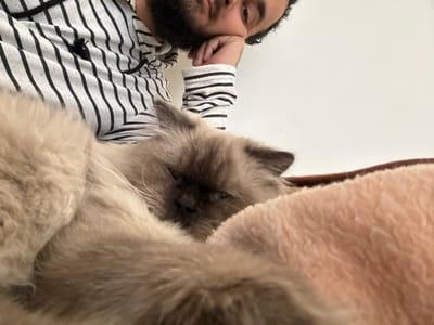 This image depicts an indoor scene in Mu'adammiyat ash-Sham, Syria, featuring a male individual and a domestic cat.
A male is visible in the upper portion of the frame, from the chest upwards. He has a dark beard and dark hair. He is wearing a white hoodie with thin black horizontal stripes and a small, dark embroidered logo on the left chest. His right arm is bent, and his right hand supports his chin. His gaze is directed downwards.
A long-haired cat, exhibiting cream, beige, and darker brown fur with visible whiskers, occupies the lower and central foreground. The cat is curled up, with its body oriented away from the viewer, and its head turned slightly, showing partially closed eyes, indicating rest or sleep. Its tail is curled around its body.
The cat rests on a light pink or peach-colored textured blanket, with a darker brown edge visible underneath. The background behind the male is a plain, light-colored wall. The male is positioned in close proximity to the resting cat.