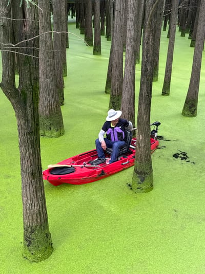 In Lin'an District, China, a person wearing a white hat, a purple life vest over a black shirt with white sleeves, and blue jeans is seated in a red kayak. The kayak is equipped with a trolling motor at the stern and a paddle rests along its side. The kayak is navigating through a body of water densely covered with bright green duckweed. The scene is set within a forest of tall, slender trees with rough bark, some of which are partially submerged in the water, their bases covered in moss. The water's surface is uniformly bright green due to the abundant duckweed, creating a surreal, almost otherworldly landscape. The lighting suggests an overcast or diffused light condition, casting no strong shadows.