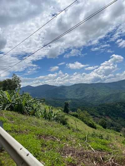 The image captures a scenic view of rolling, verdant mountains under a partly cloudy sky. In the foreground, a grassy slope is visible with some scattered debris and a section of a metal guardrail. A cluster of banana plants with large green leaves occupies the left side of the frame. The background is dominated by layers of lush green mountains receding into the distance. Power lines are strung across the upper portion of the image, crossing against the blue sky and white clouds. The scene appears to be a rural or mountainous area, possibly on the outskirts of a town or city, with the hint of a road or viewpoint indicated by the guardrail. There are no people or animals visible in the frame.