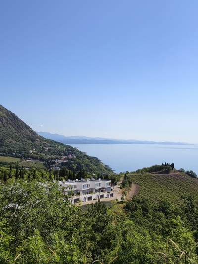 This panoramic image presents a serene coastal landscape near Lazurnoe, Ukraine, under a clear, bright blue sky. A large, verdant mountain, densely covered in trees and vegetation, dominates the left side of the frame, gradually descending towards the calm, expansive blue sea. In the distance, layers of mountains can be seen stretching along the coastline, fading into the horizon.
Nestled into the lush green hillsides are several modern, white multi-story buildings with balconies and large windows, prominently featured in the lower-middle ground. These structures appear to be contemporary residences or resorts. Further along the mountain slope to the left, smaller, more traditional houses are visible amidst the trees.
The landscape is rich with greenery, including dense forests, bushes, and extensive terraced vineyards or cultivated fields that contour the hills, particularly on the right side of the image. Tall, slender cypress-like trees are scattered across the terrain, adding vertical elements to the scene. The tranquil sea surface reflects the sky, appearing smooth and almost mirror-like, with only a small, distant boat breaking its expanse.
The time of day is clearly daytime, with bright sunlight and no visible clouds, suggesting pleasant weather. There are no people visible, and no specific activity is taking place, lending a sense of peaceful solitude to the picturesque natural and built environment. No visible text is present in the image.