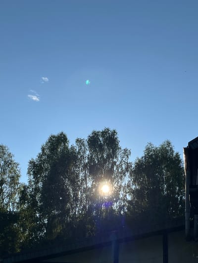 The image depicts a sunny day with a clear blue sky, punctuated by a small white cloud and a bright sun peeking through the leaves of several tall trees. The sun's rays create a lens flare effect and illuminate some of the foliage. In the foreground, the roofline of a building is visible. The scene is likely set in a residential area, possibly with a park or garden, given the presence of mature trees. The architectural style of the building's roof suggests a European or Russian context. The time of day appears to be morning or afternoon, judging by the angle of the sun. The overall impression is one of a serene outdoor environment bathed in warm sunlight. There are no people or animals visible in the image.
