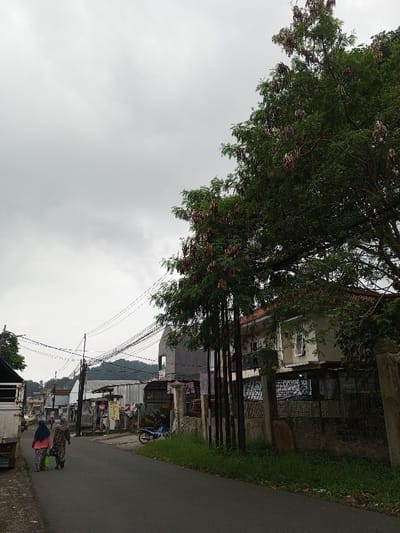 A street scene under a cloudy sky features two women walking away on the left side of the road, dressed in traditional clothing. Houses and buildings line the street, some with corrugated metal roofs. Overhanging power lines crisscross the sky. A large tree stands prominently on the right, obscuring a portion of a two-story house. Grass and greenery grow along the roadside. A parked motorcycle is visible near one of the buildings.