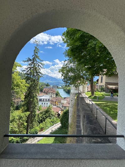 The image captures a view through an arched opening, looking out over the city of Thun, Switzerland. The foreground shows the rough, textured surface of the archway. Beyond the arch, a landscape unfolds with a river, buildings with red-tiled roofs, lush green trees, and distant snow-capped mountains under a bright blue sky with scattered clouds. A tall, slender evergreen tree stands prominently in the middle ground, framing the view of the city.

In the mid-ground, a stone wall topped with a metal railing lines a pathway. A woman in a dark shirt and jeans, accompanied by a small dog, walks along the paved path to the right of the wall. She is looking away from the camera. The pathway is bordered by a well-manicured green lawn on one side and a steep, tree-covered slope on the other. Various buildings, some with light-colored facades and others with more traditional architecture, are nestled amongst the trees and along the riverbanks. The river itself is a calm body of water, reflecting the sky and surrounding greenery. The overall impression is one of a scenic overlook, possibly from a historical fortification or a vantage point within the city.