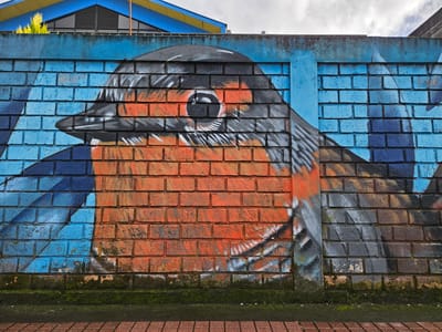 A vibrant mural of a bird, likely a robin, is painted on a weathered brick wall in Osorno, Chile. The bird's head is prominently displayed, its eye rendered with meticulous detail. The body and wings are suggested through contrasting colors and dynamic brushstrokes. The background surrounding the bird consists of blue-painted bricks, contrasting with the orange and gray tones of the bird itself. The base of the wall shows signs of weathering and is partially covered with moss. A section of red paving stones borders the wall. A building with a blue and yellow roof can be seen partially behind the mural. The sky is overcast.