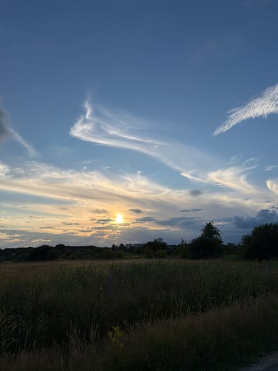 The image depicts a natural landscape with a sky at sunset. The sky is a vibrant blue, with streaks of wispy white clouds that are illuminated by the setting sun. The sun itself is a bright orb, partially obscured by scattered clouds, casting a warm, golden light across the horizon. Below the sky is a treeline of dense green foliage, interspersed with taller trees. In the distance, some buildings are visible, suggesting an urban or suburban setting. The foreground consists of a field of tall, dry grass and reeds, with a thin fence running through it. The overall scene conveys a sense of tranquility and the natural beauty of an evening sky over a Dutch landscape, possibly within the outskirts of 's-Hertogenbosch, Netherlands.