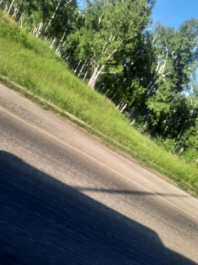 The image depicts a roadside scene in Баюновские Ключи, Russia. A paved road occupies the right side of the frame, casting a long shadow from an unseen object, likely a vehicle. To the left of the road, a lush, green grassy verge runs parallel, with a dense line of deciduous trees, characterized by their white bark and green foliage, bordering it. The sky above is a clear, bright blue, suggesting fair weather and daytime, likely morning or afternoon given the light and shadow. The overall impression is one of a natural, rural landscape. The image appears to have been taken from a moving vehicle, as indicated by the slight blur and the diagonal perspective. No people or specific objects are clearly identifiable, but the setting strongly suggests a drive through the Russian countryside. The time of day is likely daytime, and the weather appears sunny and clear.