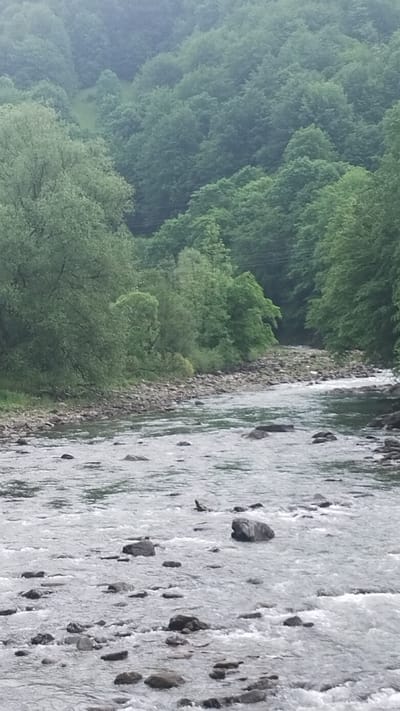 The image shows a flowing river with rocks along the bank. On the left, there is a dense green forest with trees in varying shades of green. The river water appears turbulent. The location is in the city of Trostianets, Ukraine. There are no people visible in the image.