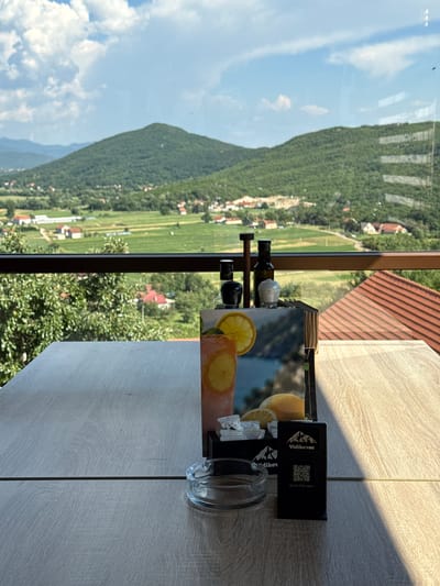 The image depicts a table with restaurant menu holders, salt and pepper shakers, and an ashtray, viewed from an interior perspective looking out through a window. The table surface is made of light-colored wood-grained material.

In the foreground, a black menu holder displays a QR code and the text "Vidikovac SCAN FOR MENU". Another menu holder, partially obscured, also shows the "Vidikovac" logo. Beside the menu holders are two clear glass shakers, likely for salt and pepper, one with a white top and the other with a dark top. An ashtray made of clear glass is also visible on the table.

Through the window, a scenic landscape unfolds. A lush green mountain dominates the left side of the view, with a village nestled at its base. Fields of green, interspersed with houses and trees, stretch across the middle ground. A red-tiled roof of a building is visible near the top of the frame, suggesting an architectural style common in the region. The sky is blue with scattered white clouds, indicating fair weather.

The overall impression is one of a peaceful setting, possibly a restaurant or cafe, offering diners a view of the natural surroundings. The lighting suggests it is daytime, likely late morning or afternoon, with sunlight casting shadows on the table. The location context of Miločani, Montenegro, further informs the interpretation of the landscape as potentially mountainous and rural.