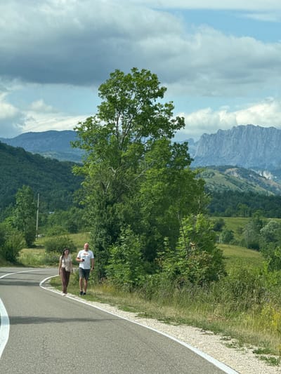 Two people, a man and a woman, are walking on a paved road in a rural area near the city of Šavnik, Montenegro. The man, wearing a white t-shirt and dark shorts, is on the right side of the road, holding a phone in his right hand. The woman, wearing a beige top and brown pants, is on the left side of the road. They are both walking towards the camera. The road has a white line marking the edge. The surrounding environment is lush and green, with rolling hills, dense trees, and a large mountain range in the background under a cloudy sky.