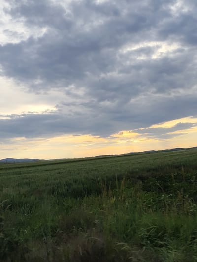 The image captures a wide-angle view of a rural landscape, likely near Aldomirovtsi, Bulgaria, during what appears to be sunset or sunrise. The foreground is dominated by a vast, green field, possibly a crop of wheat or barley, with varying shades of green indicating its texture and density. Tall, wispy grasses and some darker foliage are present in the immediate foreground, creating a natural border.
The middle ground features rolling hills that recede into the distance, some appearing as darker silhouettes against the brighter sky. The horizon line is slightly uneven, suggesting a natural terrain.
The sky takes up a significant portion of the image and is filled with dramatic, grey clouds. Patches of sunlight break through these clouds, particularly in the upper right quadrant, casting a warm, golden glow across the sky. These shafts of light are diffused, suggesting a diffused light source. The overall lighting suggests a transitional time of day, either early morning or late evening. No people or man-made structures are clearly visible in the image, emphasizing the natural and open environment. The scene is peaceful and serene, devoid of any immediate action or interaction.