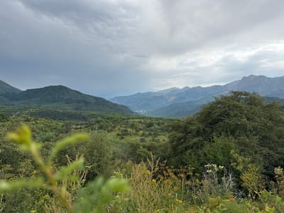 A panoramic view captures a lush, mountainous landscape under an overcast sky. The foreground is dominated by out-of-focus green foliage, with dry, wispy grasses and some small yellow flowers in the mid-ground. Beyond this, rolling green hills covered in dense forest stretch into the distance.
Further back, a valley opens up, revealing a settlement nestled among the trees, with houses and buildings visible. The scene is framed by successive layers of mountains, fading into a hazy blue in the far distance. The peaks are rugged and appear to be rocky in places, with some areas showing signs of erosion or exposed earth. The sky is filled with heavy, grey clouds, suggesting a day with little sunshine, possibly before or after rain.
The overall impression is one of a remote, natural setting. The time of day is difficult to pinpoint due to the cloud cover, but the lighting suggests it could be late morning or afternoon. The location appears to be Arkit, Kyrgyzstan, a region known for its mountainous terrain and natural beauty. There are no visible people or specific objects of interest, nor any text. The mood is serene and perhaps a little melancholic due to the subdued light.