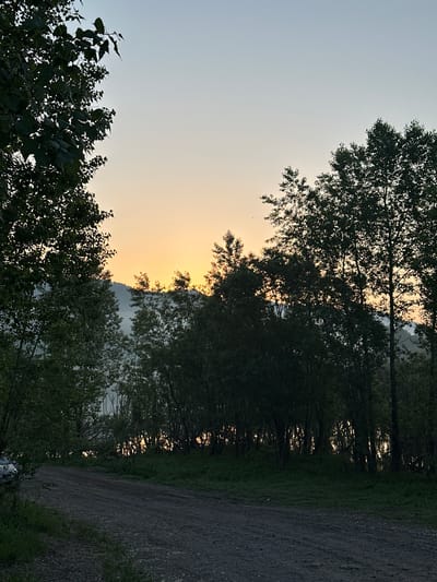 This image depicts a dirt road leading into a forest at dusk. The sky is a gradient of pale blue to soft orange, indicating the sun is either rising or setting. Silhouetted trees with dense foliage line the right side of the road, obscuring the background. In the distance, a misty mountain range is visible through a break in the trees. A small portion of a white vehicle is visible on the left side of the road, partially obscured by foliage. The overall mood is serene and natural. The location is specified as Zelenogorskiy, Russia.
