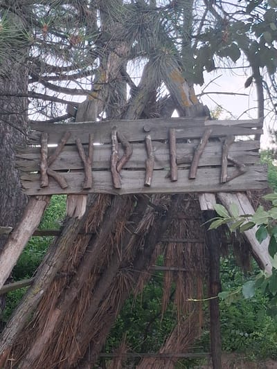 This media file captures a close-up view of a rustic structure made from natural materials. The main subject is a vertical wooden plank with several smaller branches attached horizontally, creating a ladder-like effect. These branches are irregularly shaped and positioned, some appearing more stable than others. The wood is weathered and gray, suggesting it has been exposed to the elements.
Behind the plank, the structure transitions into a more elaborate construction. Diagonal wooden beams are visible, supporting a roof or wall made of densely packed dry vegetation, possibly straw or reeds. This thatched material is held together by more interwoven branches and sticks. The texture of this thatched section is rough and fibrous.
To the left of the wooden plank, dense evergreen branches, likely from a pine tree, are prominent. These branches are dark green and create a textured contrast with the wooden elements. The background is a blur of greenery and bright sky, indicating an outdoor setting. The lighting suggests it is daytime, possibly overcast or with dappled sunlight filtering through the trees.
The overall impression is one of a handmade, possibly primitive or natural shelter. There are no people visible, and the focus is entirely on the construction and materials. The scene evokes a sense of being in a natural or semi-wild environment. No text is visible in the image. The provided location context, Shyriaieve, Ukraine, places this structure within a potentially rural or forested area.