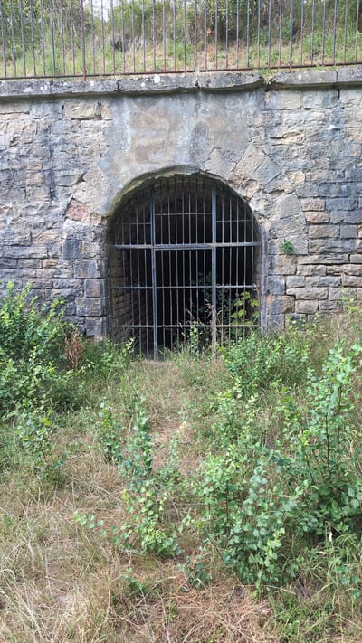 The image shows an arched stone opening covered by a metal grate, set into a stone wall. Above the opening is a horizontal stone slab, and above that is a rusted metal fence with a background of overgrown vegetation. The area in front of the opening is covered in dry grass and some leafy green bushes. The opening appears to be the entrance to a tunnel or underground structure. The scene is located in Saint-Apollinaire, France.