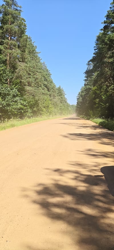 The image depicts a dirt road cutting through a pine forest under a clear blue sky. The road is a light brown color and appears to be relatively smooth, with some tire tracks visible. On either side of the road, tall pine trees with dense green foliage line the path. The trees create a canopy that casts dappled shadows on the road surface. In the distance, a plume of dust is visible rising from the road, suggesting that a vehicle has recently passed. The overall impression is one of a rural, natural setting, likely in the countryside. While the image itself does not provide specific information to pinpoint the location within Урэцкі сельскі Савет, Belarus, the presence of pine forests and dirt roads is consistent with the geography of such rural areas in Belarus. The scene is quiet and serene, with no people or structures immediately visible.