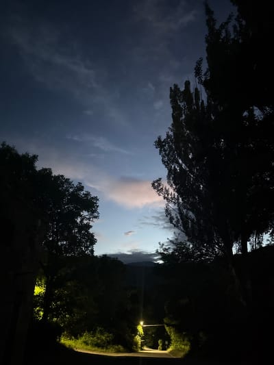 This is a night-time photograph of a road in Tumanyan, Armenia. The sky is a deep blue with some wispy clouds tinged with pink and white. Silhouetted trees line the sides of the road, one of which is a tall, slender poplar on the right. A street light illuminates a section of the road and the surrounding vegetation. In the distance, mountains are faintly visible against the horizon. A stone building is partially visible on the left side of the image. There are no people or animals visible in the scene.
