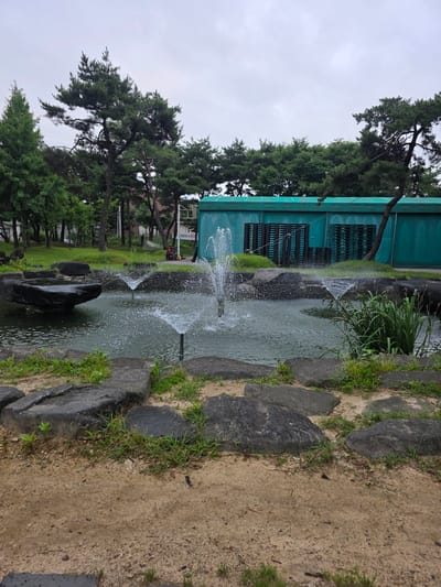 The image depicts an outdoor scene in Soseok-ri, South Korea, featuring a pond with active water fountains. The pond is surrounded by large, dark rocks and patches of grass and sand. In the background, a teal-colored building with rows of dark shelves is visible. Several tall pine trees and other lush green trees form a backdrop behind the building, with a cloudy sky overhead. A sign with Korean text is partially visible near the building. The image appears to be taken on an overcast day.