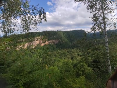The image depicts a lush, tree-covered valley with a prominent cliff face visible in the background. In the foreground, various trees and foliage create a natural frame, with branches and leaves from two trees, one on the left and another on the right, partially obscuring the view. The cliff face is a dominant feature, showing layers of rock and vegetation growing on its surface. Beyond the cliff, rolling hills covered in dense green forest stretch into the distance under a partly cloudy sky. The clouds are a mix of white and gray, suggesting a day with changeable weather.

The scene appears to be a natural landscape, likely a park or wilderness area. The time of day seems to be daytime, given the brightness and the cloud formations. The overall mood is serene and natural, emphasizing the beauty of the untouched environment. A small portion of a person's shoulder and hair is visible on the far right edge of the image, suggesting someone is present at the viewpoint, looking out at the landscape. There is no visible text in the image. The location is contextually identified as Solionoye, Russia.