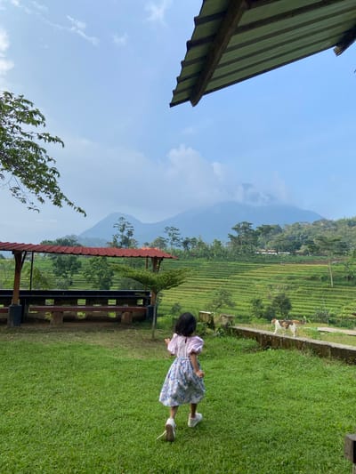 The scene captures a view from what appears to be a viewing platform or patio in Penanggungan, Indonesia. A young child in a dress is running on a grassy area. Beyond the grass, terraced rice paddies stretch into the distance, with mountains looming in the background. Above, a partly cloudy sky is visible. The image also includes a glimpse of a green roof structure on the left and a partially visible open structure with a red roof. A cat is seen walking on a stone wall.
