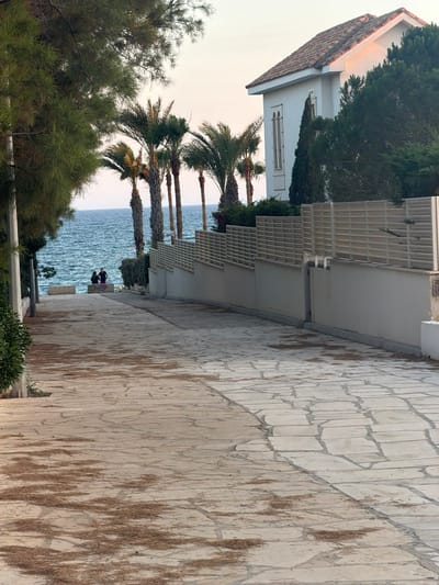 In Pervolia, Cyprus, a paved pathway slopes gently towards the sea. On the left, a dense cluster of green trees forms a natural boundary. A white fence with horizontal slats runs along the right side of the pathway, separating it from a white building with a tiled roof and dark-trimmed windows, partially obscured by greenery. Several palm trees stand between the pathway and the ocean. Two individuals are seated on a concrete barrier at the edge of the water, facing the sea. The water is a deep blue, with gentle waves. The sky is a pale, overcast hue. Scattered dry pine needles litter the stone-tiled pathway.