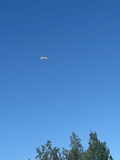 A small propeller airplane, white with red accents, is visible flying in a clear blue sky. The airplane is positioned in the upper left quadrant of the image. In the lower portion of the image, the tops of several green trees are visible against the sky. The location is identified as Bogucin, Poland.