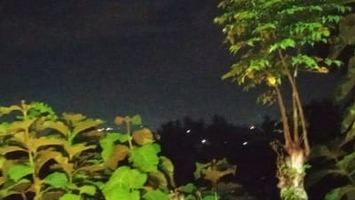 This media file depicts a nighttime scene in Meunasahteungkudigadong, Indonesia. The primary subjects are lush vegetation, including a tree with multiple slender trunks on the right and leafy plants in the foreground on the left. The foliage is illuminated by artificial light, creating a contrast between the dark night sky and the brightly lit greenery. In the background, a blurred landscape of trees and distant lights suggests a settlement or town on a gentle slope. The overall atmosphere is serene and quiet, characteristic of a peaceful evening in a rural or semi-rural environment. The time of day is clearly night, indicated by the dark sky and the presence of artificial lights. There is no visible text in the image.