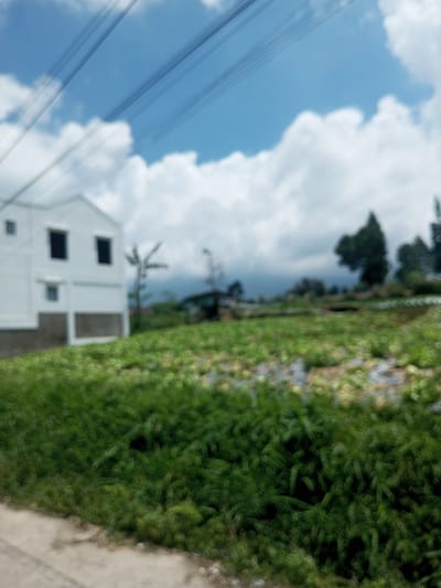 The image shows a blurry outdoor scene in Kioumaknao 2, Laos. A white two-story building is partially visible on the left. Power lines stretch across the top of the frame against a cloudy blue sky. In the foreground is a patch of green vegetation. Beyond the vegetation is a field with what appears to be rows of plants or crops, possibly cabbages. Trees and a hill or mountain are visible in the distant background.