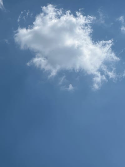 The image depicts a cloudy sky. A large, fluffy white cloud dominates the left side of the frame, with smaller wisps of clouds scattered across the blue expanse. The sun is not directly visible, but its light illuminates the clouds, creating bright highlights and soft shadows. The overall impression is of a bright, but not intensely sunny, day. The sky is a uniform blue, suggesting it's daytime. There are no identifiable objects or people in the frame, and no text is visible. The scene is a natural outdoor setting, likely an open area where the sky is unobstructed. Given the location context of Ludwigsburg, Germany, this could be a typical scene observed in the region during daylight hours.