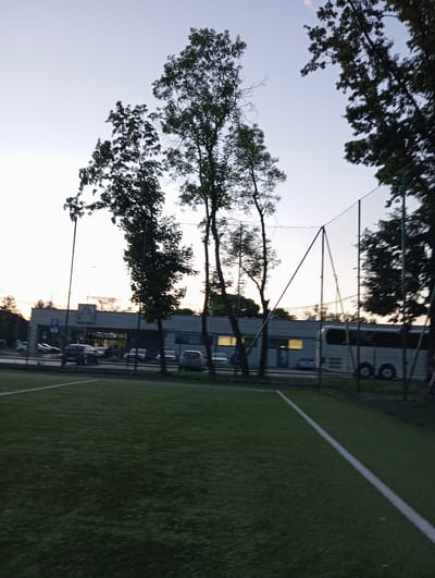 The image depicts an outdoor scene with a focus on a grassy field, likely a sports field, marked with a white line. Trees with dark green foliage are prominent in the foreground and along the left side of the frame. In the background, a building with windows and a bus are visible, partially obscured by the trees and a sports net. Several cars are parked in front of the building. The sky is clear and a light blue, suggesting it is daytime, possibly late afternoon or early evening given the soft lighting. The overall setting appears to be a recreational area or a facility bordering a natural landscape. There is no discernible activity taking place, and the image conveys a sense of calm. No text is visible in the image. The location context is Radzymin, Poland.