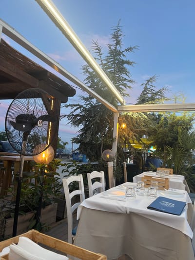 The image shows an outdoor seating area of a restaurant on Ofrynio Beach, Greece, at dusk. Two tables are set with white tablecloths, white plates, and glassware. A blue menu is placed on the table in the foreground. Wooden crates are used as part of the table setting, holding napkins. White chairs are arranged around the tables. A large industrial fan is mounted on a pole to the left of the frame, near a wooden structure that appears to be part of the restaurant's roof. Several potted plants and trees surround the seating area, including what appears to be a palm tree on the right. The sky is a soft gradient of blue and pink, indicating the time of day. In the background, cars and a blue trash bin are visible, suggesting the restaurant is located near a road or public area. The overall atmosphere is relaxed and inviting, set for an evening meal.